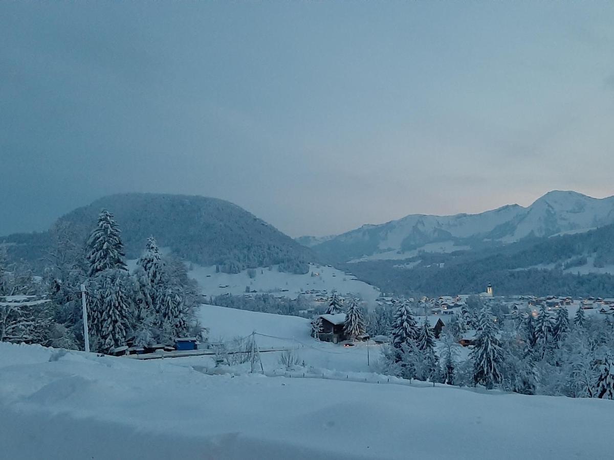 Ferienwohnung Schoenenbuehl Hittisau Exterior foto