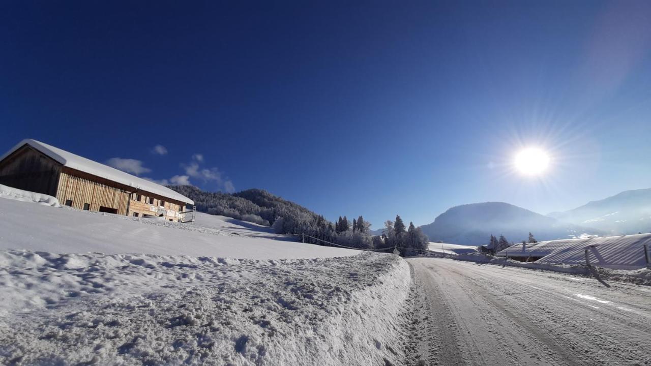 Ferienwohnung Schoenenbuehl Hittisau Exterior foto