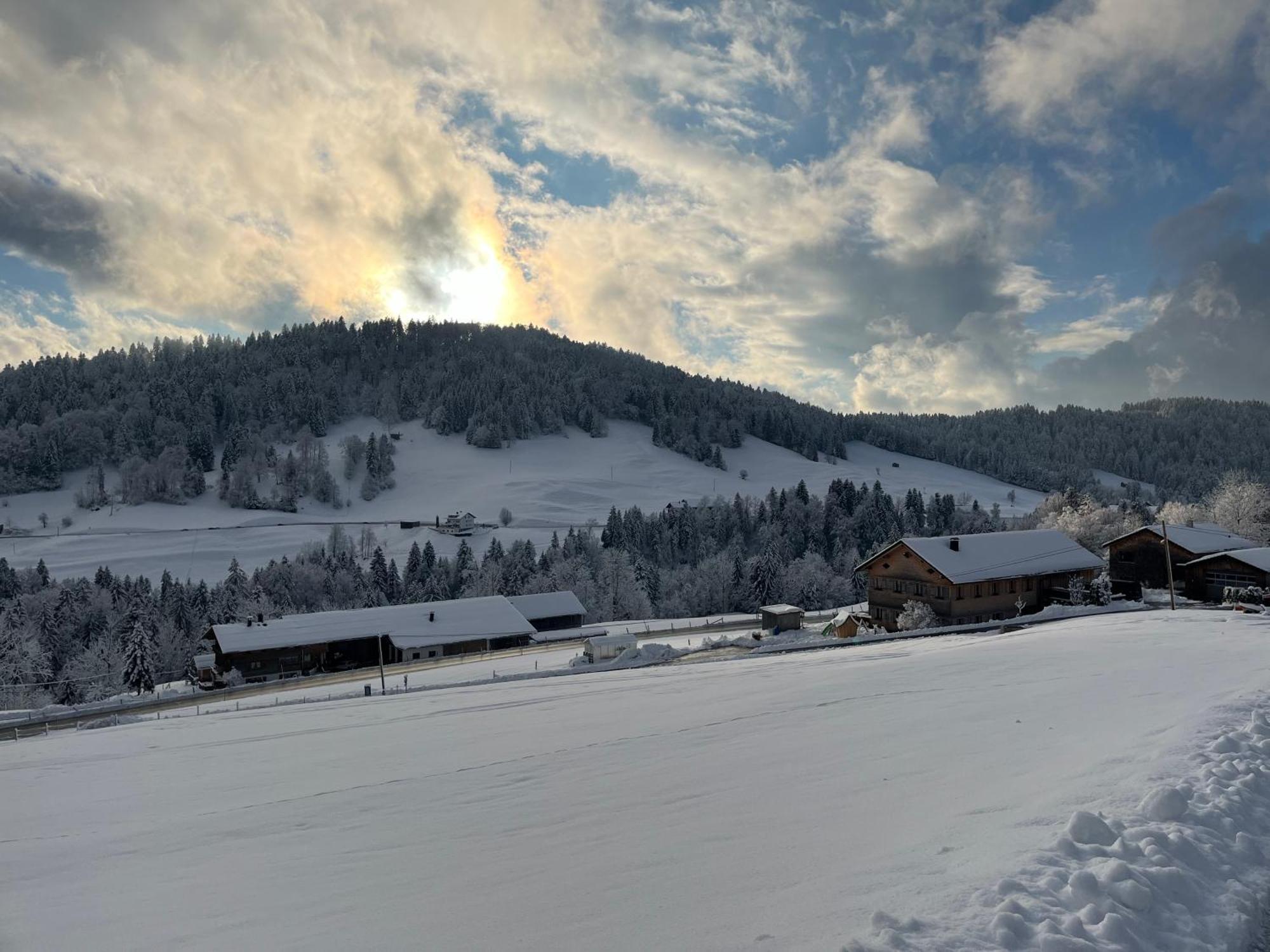 Ferienwohnung Schoenenbuehl Hittisau Exterior foto