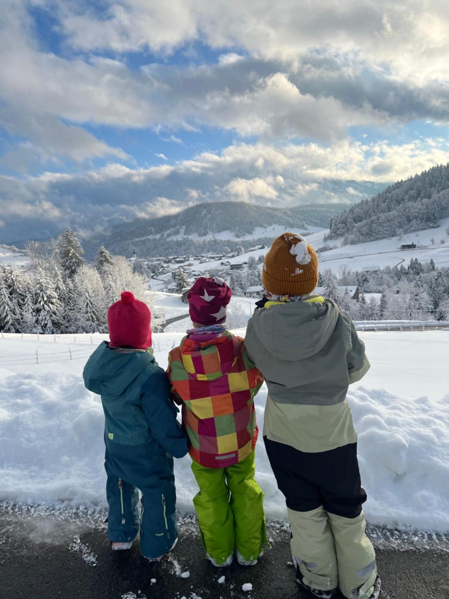 Ferienwohnung Schoenenbuehl Hittisau Exterior foto